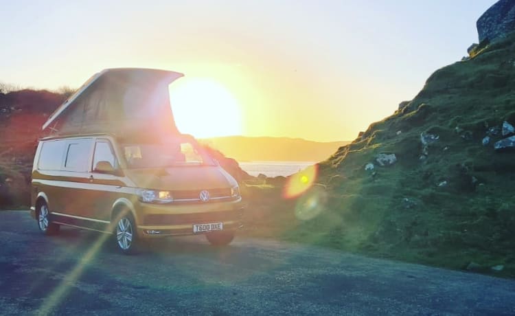 Dixie – Camping-car de luxe Volkswagen T6 automatique 4 couchages à partir de 2020