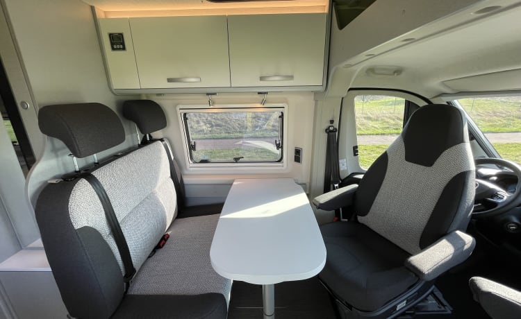 Famiglia ADRIA Twin 600 SP