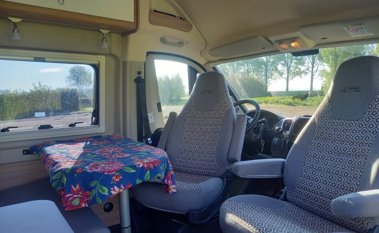 4p camperbus automaat en slaaphefdak uit 2021