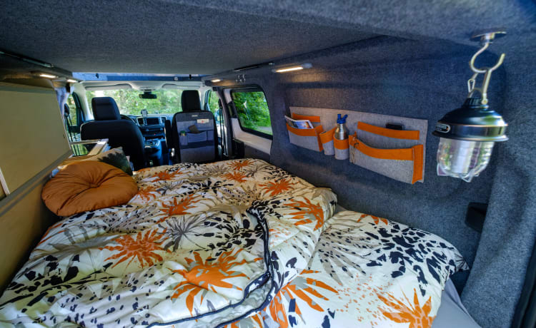 Evander – Camping-car électrique ⚡️ Dortmund et Stuttgart