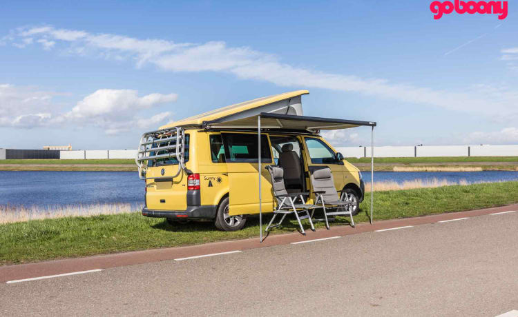 Sunny – 2er Volkswagen Bus von 2015