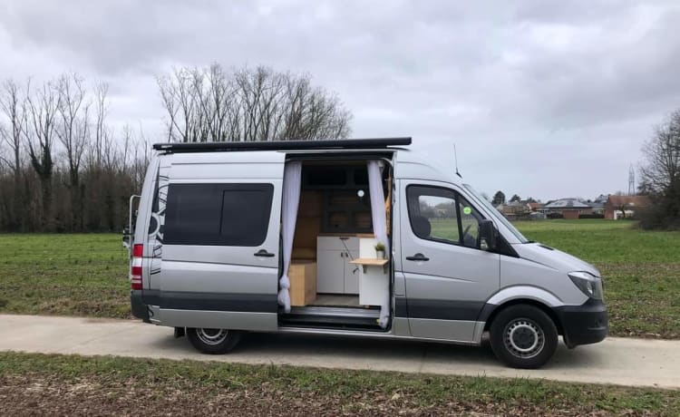 Roulez_Rudi – 2p Mercedes campervan uit 2015