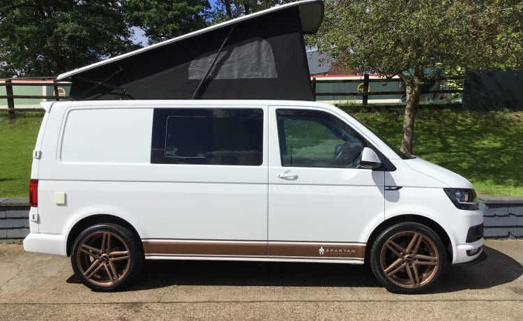 Volkswagen Transporter Campervan met 4 slaapplaatsen en pop-top uit 2016