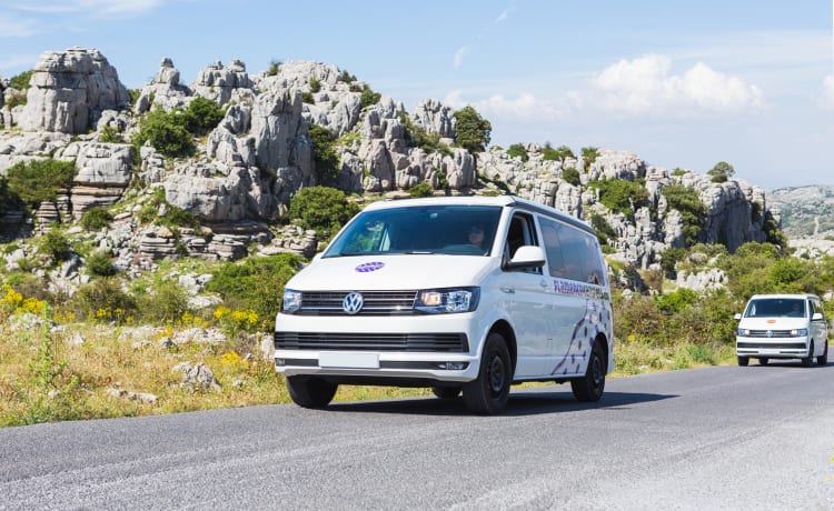 "CARMELA" VW T6 CALI BEACH CAMPER – Flamenco Campers, Camper mieten, Andalusien erkunden.