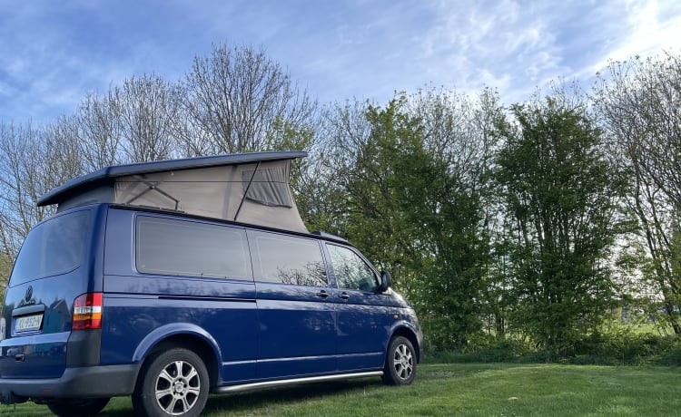 Bommeltje VW T5 extra binnen ruimte  – Camper Volkswagen 2p del 2007