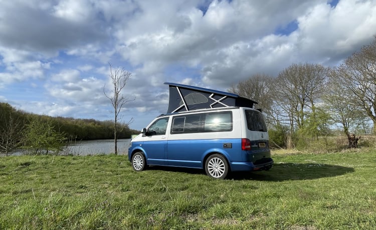 Original VW California