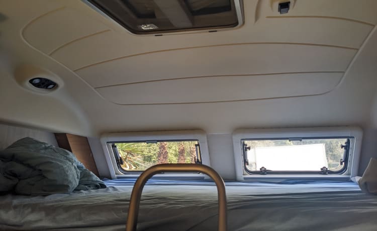 Camper Pino60 – Ideal for "FAMILY" Laika