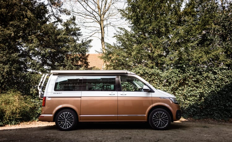 Dutch Nomad Van  – NIEUW! Compleet & Luxe uitgeruste VW California Ocean 6.1.