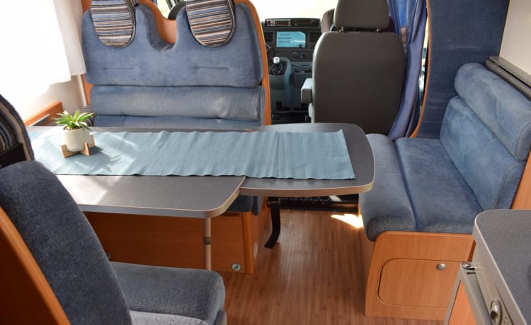 Ford Benimar  – Komfortabler Familiencamper mit 6 Schlafplätzen, komplett ausgestattet