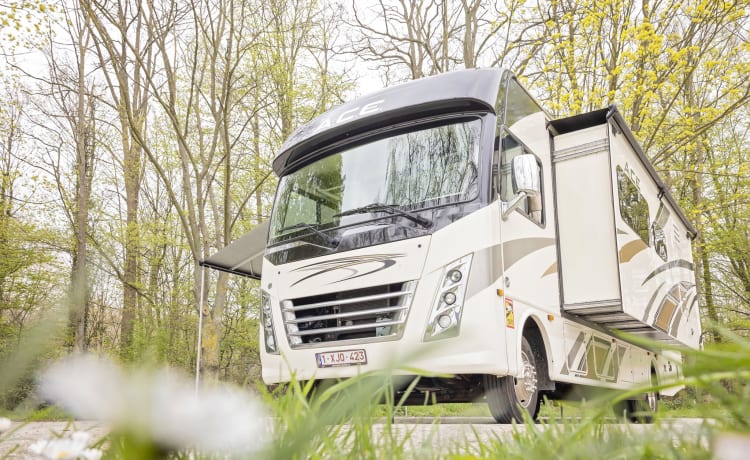 (Patente di guida C1) - Camper espandibile Ford Thor ACE 30.4