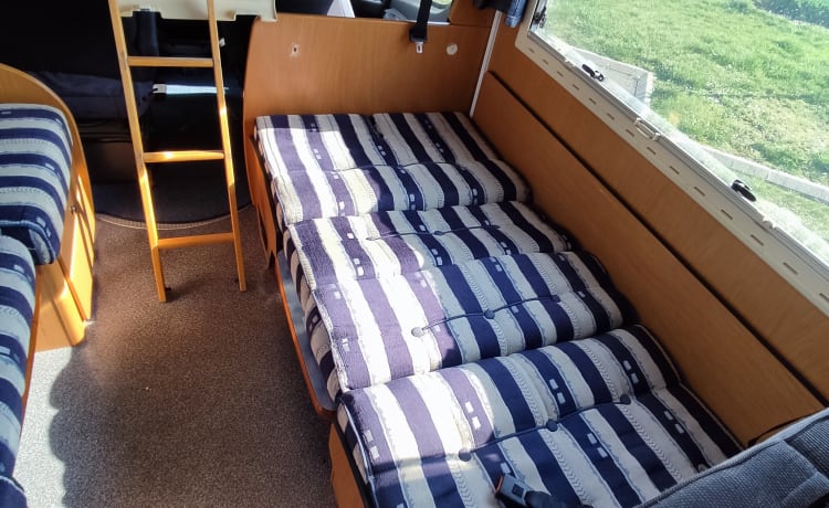 Camper Laika ecovip