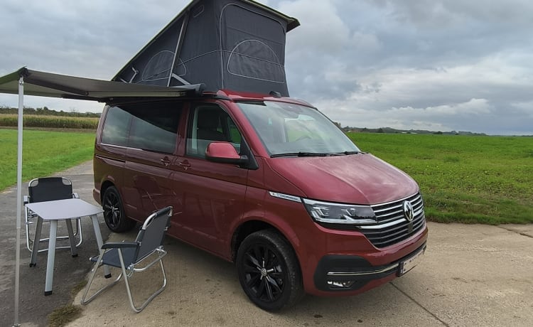 Dan The Van – Volkswagen 2022 California Coast 150 PS Diesel 6 V