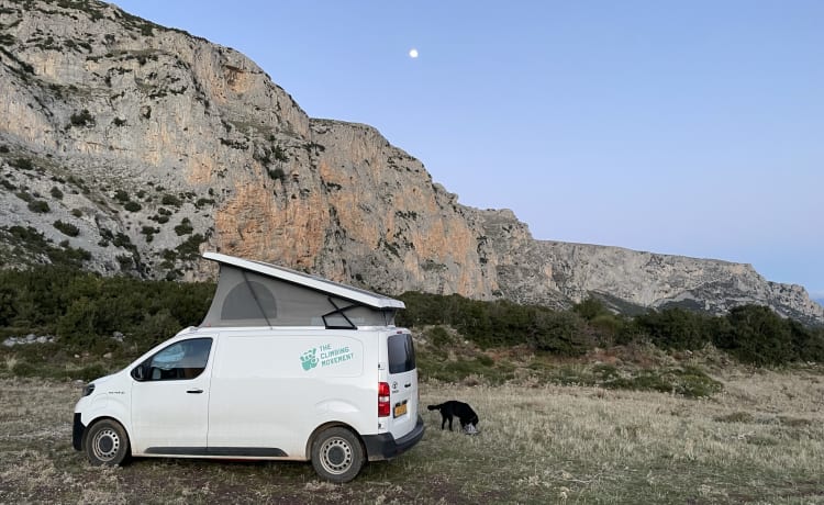 Budgee 🌱⚡️ – 100% electric campervan with off-grid solar+induction ☀️ 