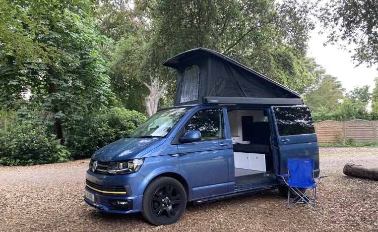 Buzz the Adventure Wagon – VW T6 Campervan mit 4 Schlafplätzen