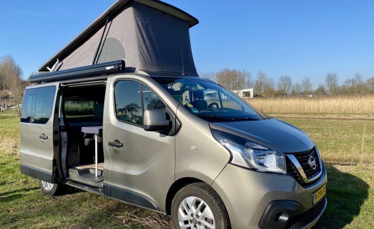 Westfalia Michelangelo 2018 Euro 6