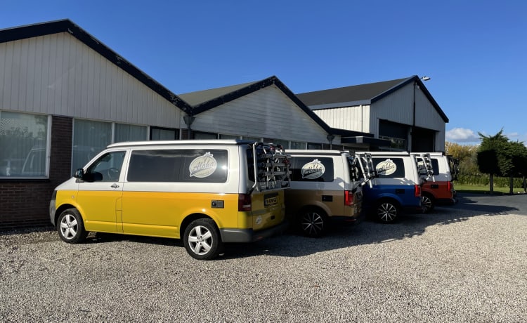 Aloha beach camper Orange – VW T6 Automatique