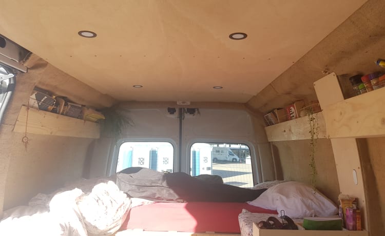 Siggy – 2P Off-grid converted cozy bus camper!