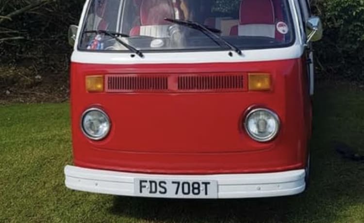 Ollie – VW Camper