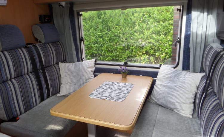 Camping-car familial compact avec lit superposé