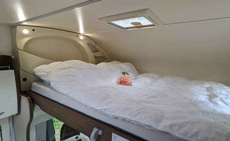 benimar 342 – Benimar alkoof camper voor 5 personen