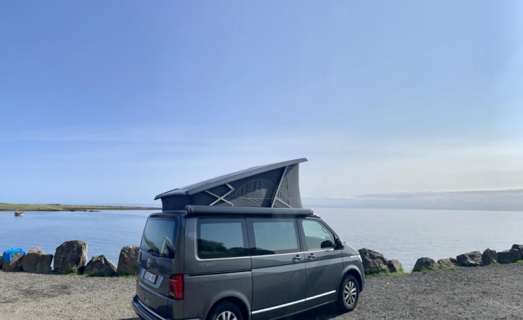 OCEAN – Camper Volkswagen CALIFORNIA del 2022