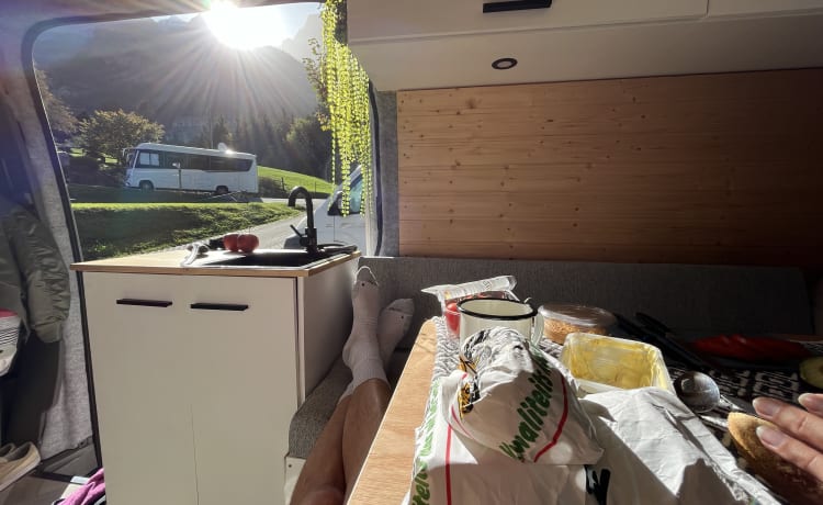 VanNoes – Mercedes Sprinter spacieux et tendance