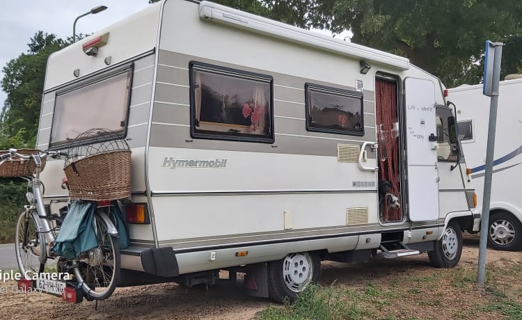 Maripose – Hymer B534 classico