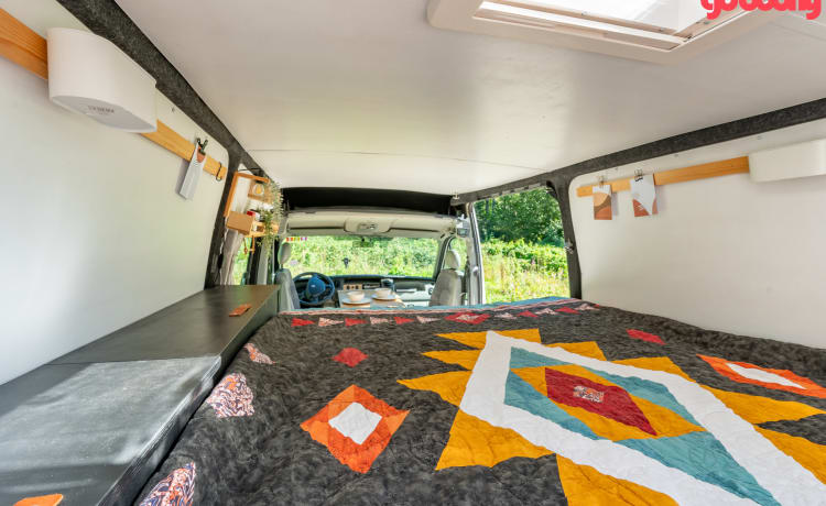 2p Renault camper uit 2005