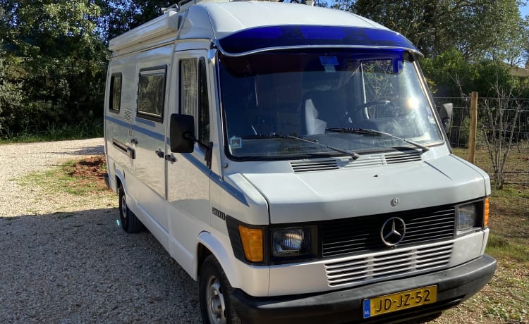 Roxanne – Mercedes Roxanne 207D