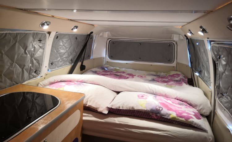 BarnaBus – T2 CamperVan Hire