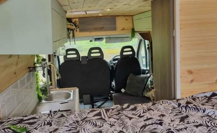 Fifi – Fiat Ducato 3 posti letto 2020 