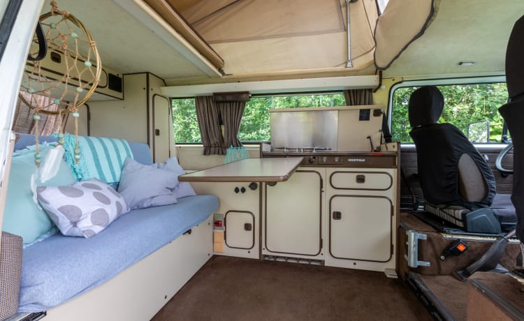Goboony Camper – le seul et unique camping-car Goboony