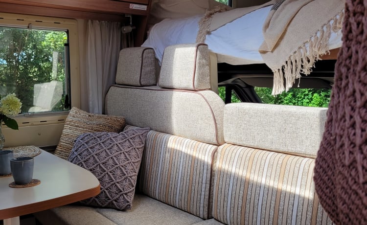 Pluk  – Super cozy 6-person camper! Still available in July :)