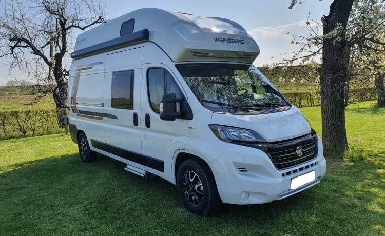 Weinsberg Carabus 600 MQH – 4p Knaus campervan from 2019