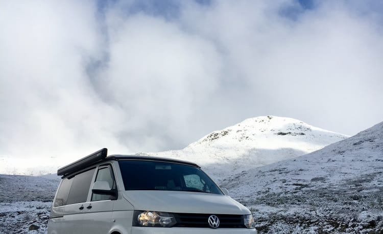 Volkswagen T5 Wohnmobil 4 Personen