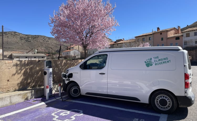 Budgee 🌱⚡️ – 100 % elektrisches Wohnmobil mit Solarkochen ☀️ 