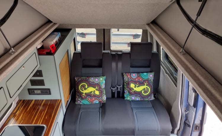 The Gecko – Onlangs omgebouwde VW-camper