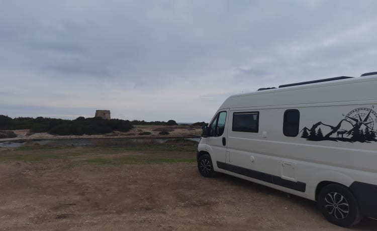 Leo activ – Campervrij