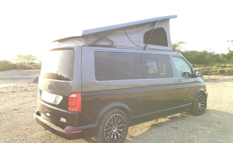 Heypitcho – Luxe T6 VW LWB, 5 places, 4 naissance, parfait pour les aventures en famille