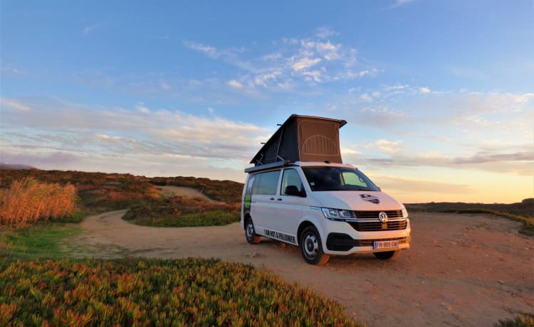 Baroudeur California – Volkswagen Californië T6.1 (Biarritz)