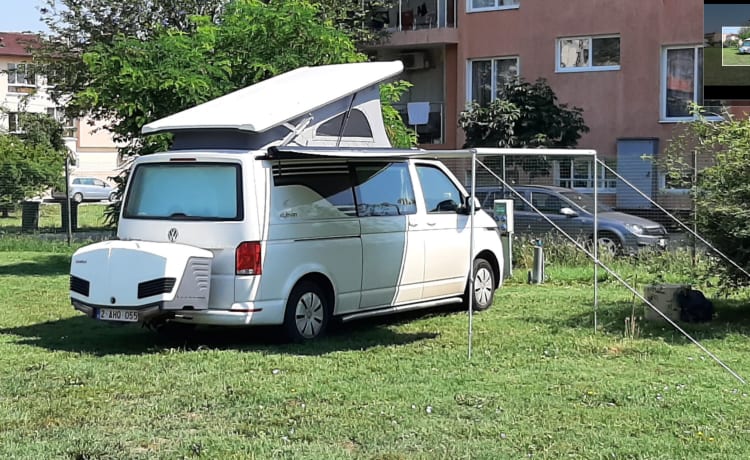 2 tot 6 personen Volkswagen Style VAN