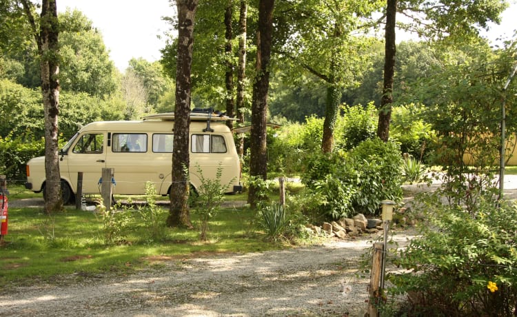 Unieke classic Ford Transit Caravanette