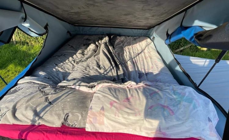 Hayes – LWB 4 Berth VW Transporter met 'kingsize' bed & klapdak