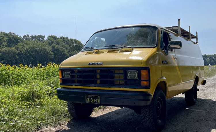 TRUMP – American van - 2 seater
