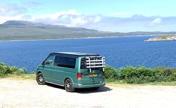 Basil – 2021 VW T6.1 Campervan huren