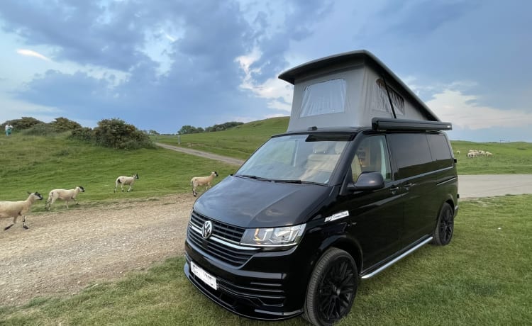 Mitch  – Superbe conversion VW T6 Camper King. 4 couchages, 5 sièges et fait tourner les têtes !