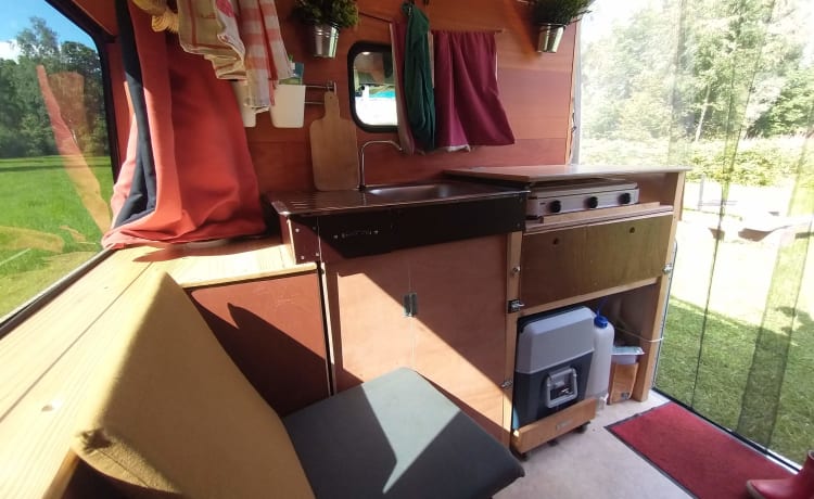 (Re) rested on a trip? Comfortable self-build van (2017, 2/3p)