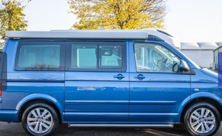 Blue Bodhi – Point break campers.  Insurance included