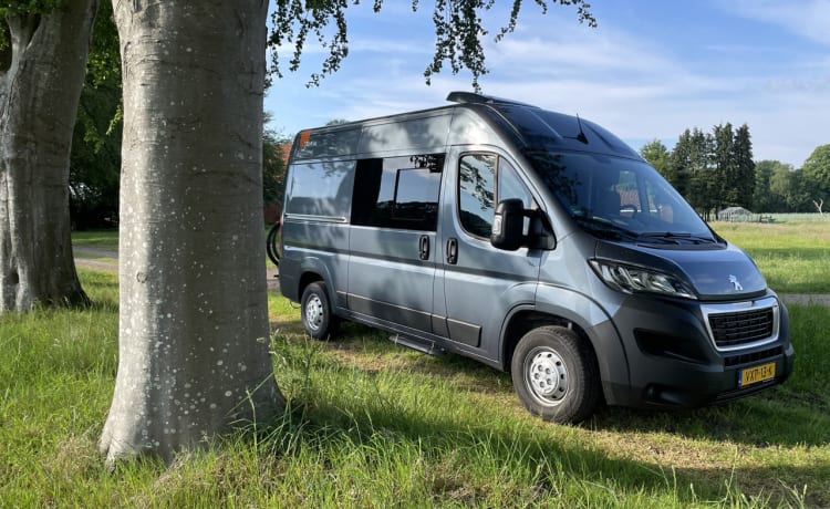 Roze Roadtripper – Compacte modulaire buscamper voor 2 personen 