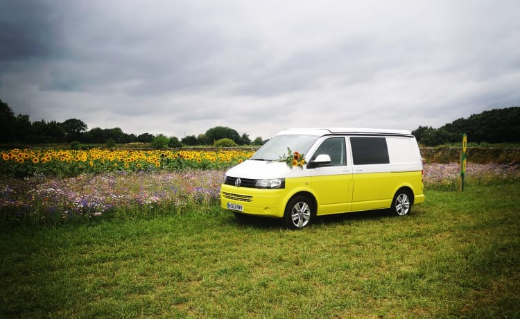 Daisy – Volkswagen Camper Van mit 4 Schlafplätzen (neu umgebaut 2022)